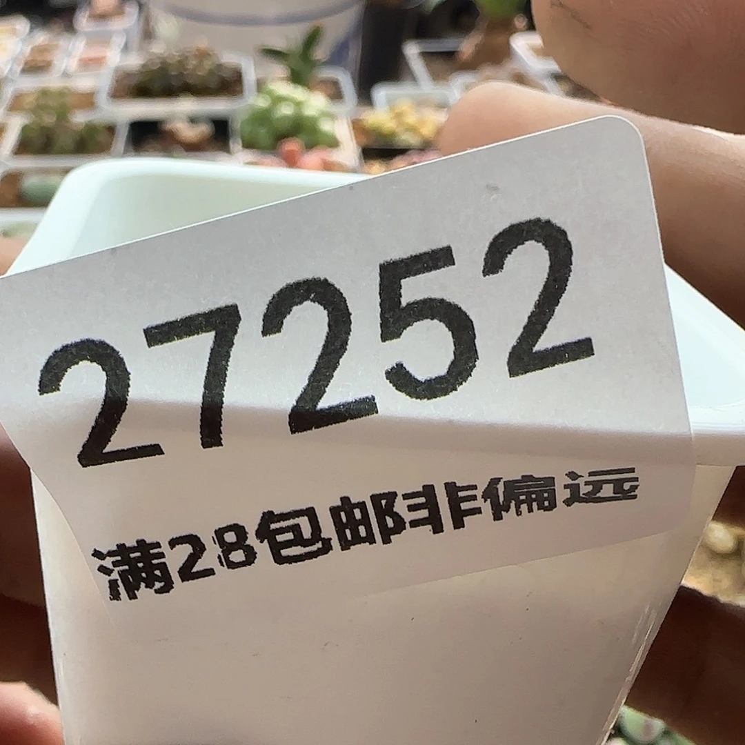 我***卡28发货脱土发货27252