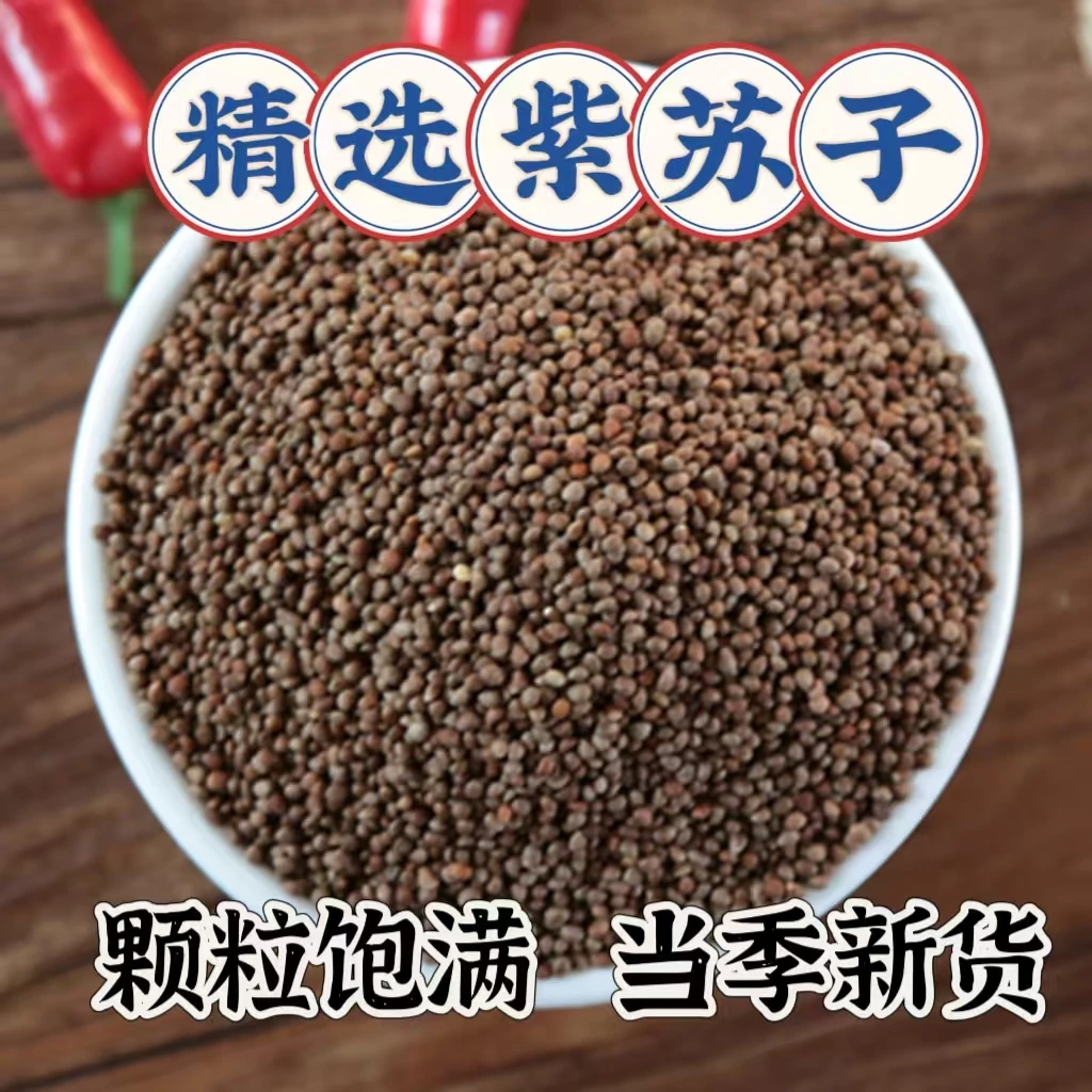炒熟紫苏子粒 东北特产 当季新货 颗粒饱满 越嚼越香