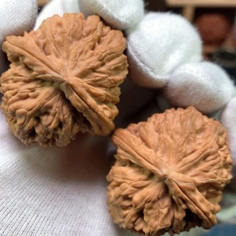 文玩核桃吊坠雨*中42全品白茬山地红皮一比一三角白狮子