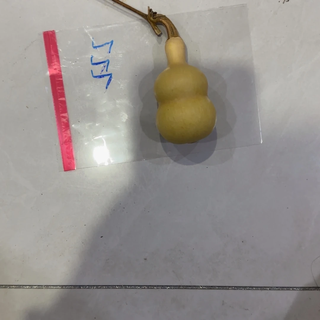 V***.葫芦穿厚点灰化肥会挥发好姐姐