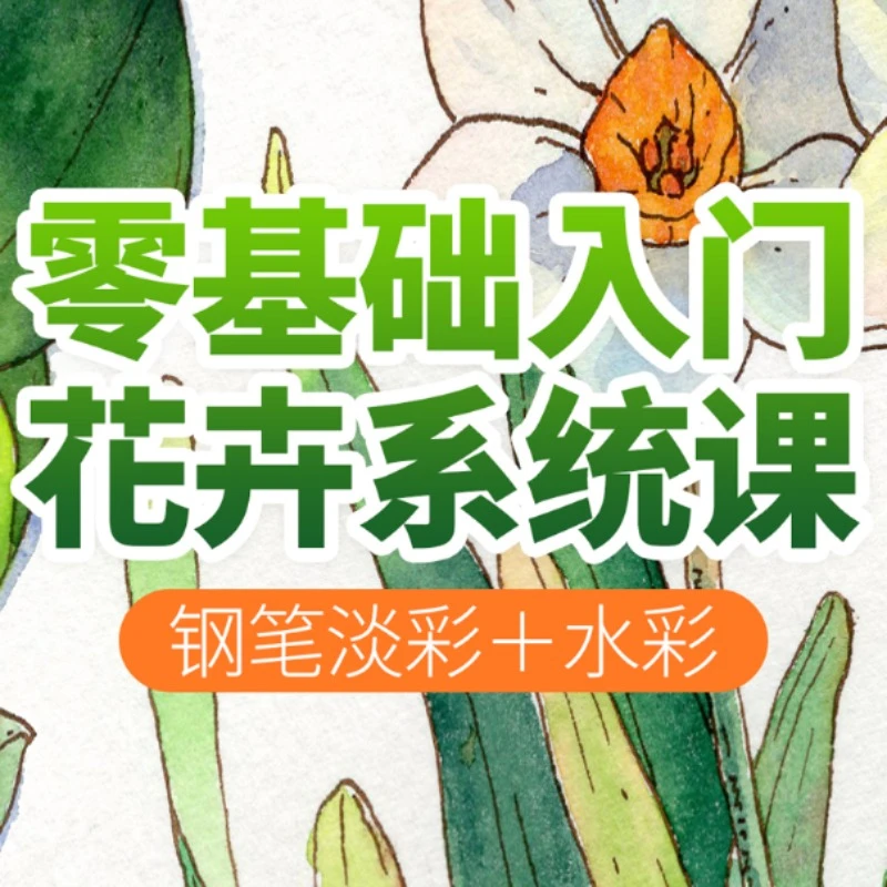 零基础入门水彩花卉系统课