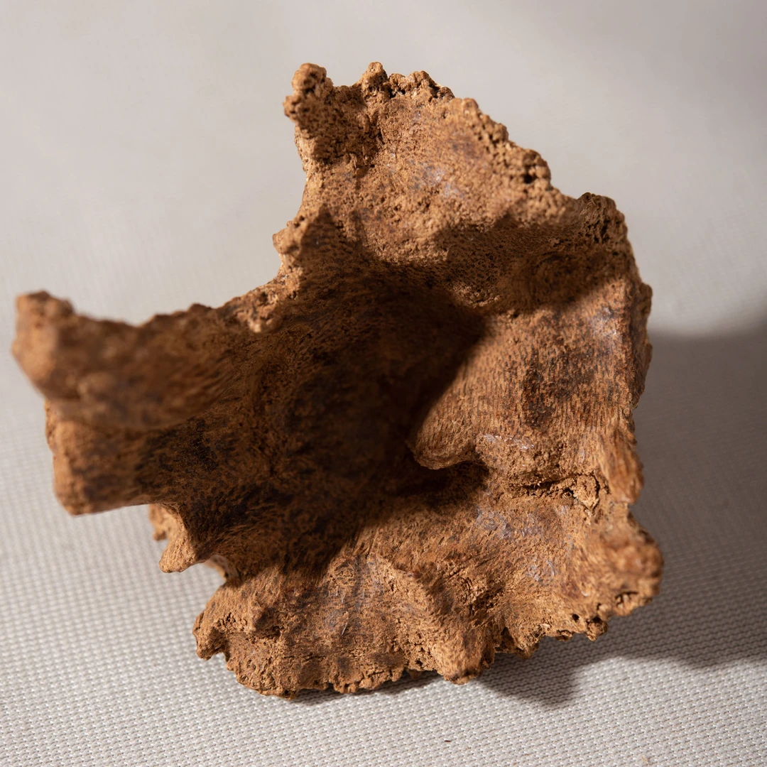 沉香【弘伽楠】香港老料 规格自选