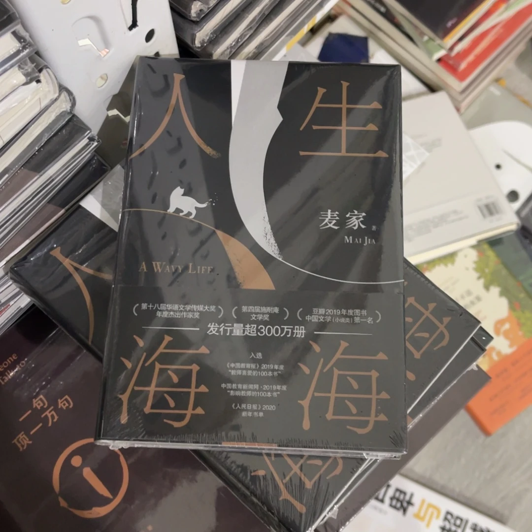 人生海海精装一个