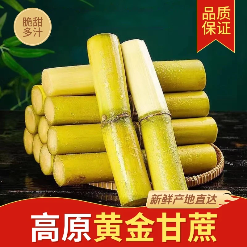 云南黄皮甘蔗新鲜应季高原黄金甘蔗薄皮脆甜多汁现砍直发XYY