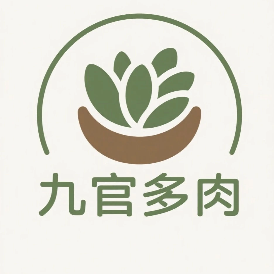 A链接-现场上架 多肉一物一拍