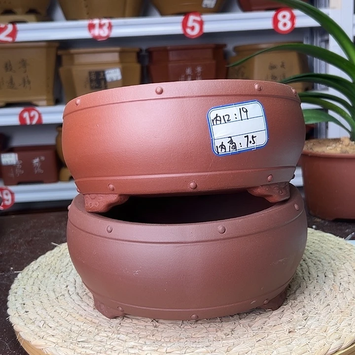 紫砂花盆蛇年大吉