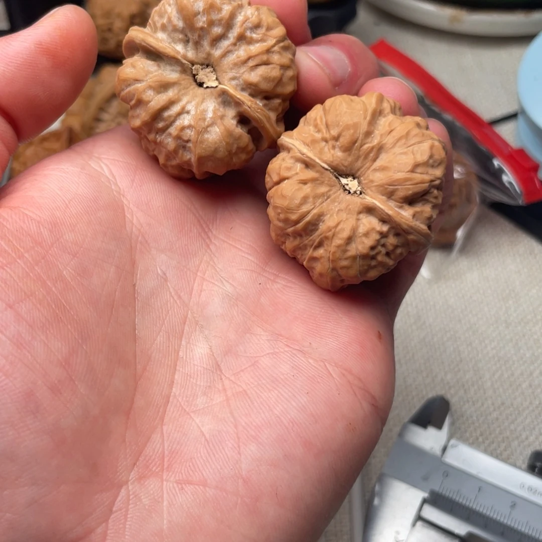 M***£文玩核桃把件蛤蟆