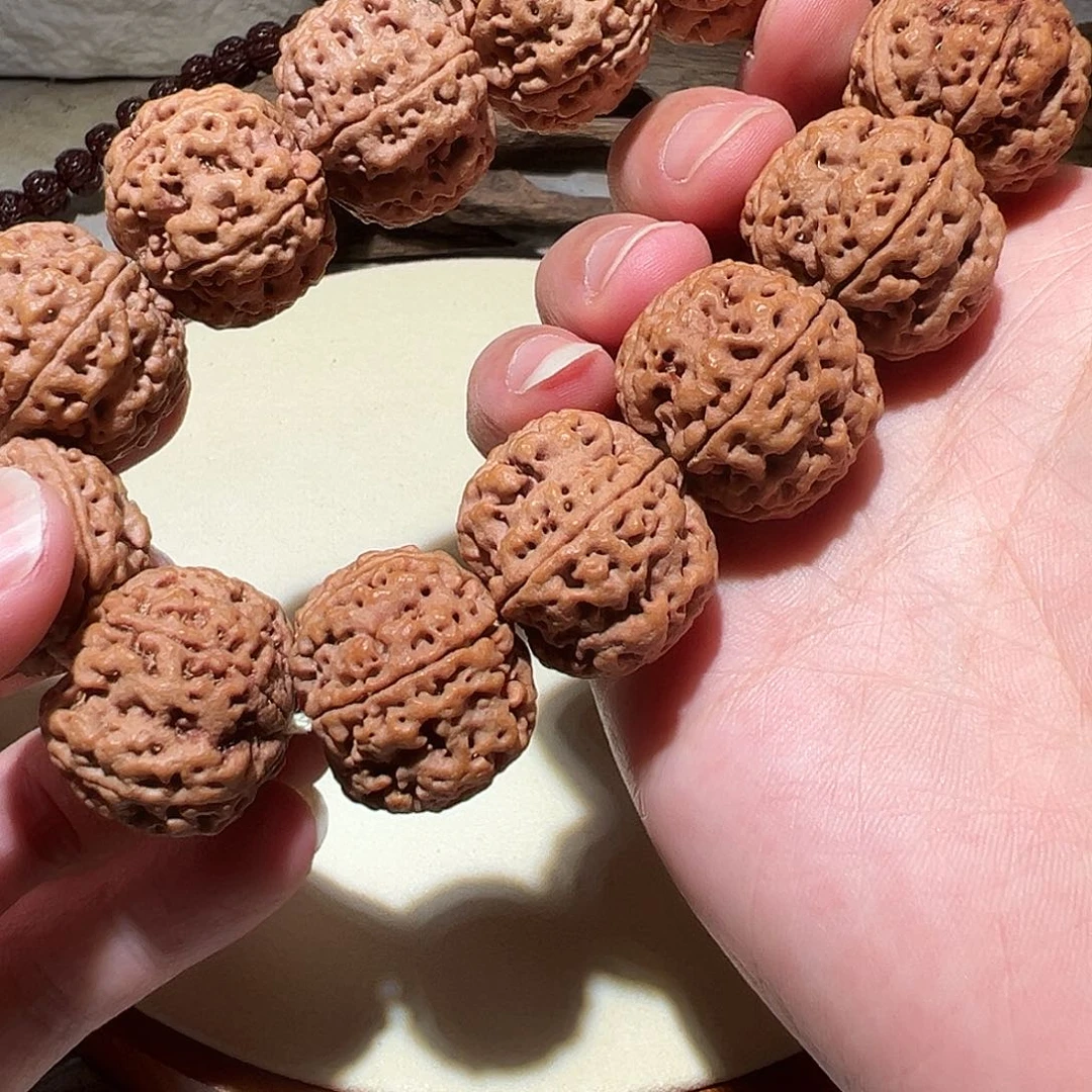 金刚菩提手串毕业级23尺寸左右五星双龙福利