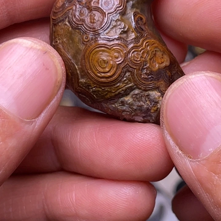 涤纶60CM以上单钢圈双层纱戈壁去了玛瑙石石