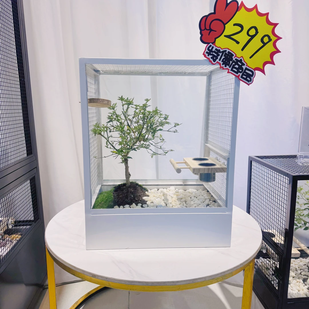 微型生态景观鸟笼  养鸟养龟定制鸟笼