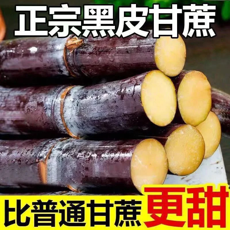 广西新鲜现砍黑皮甘蔗脆甜多汁应季水果孕妇零食