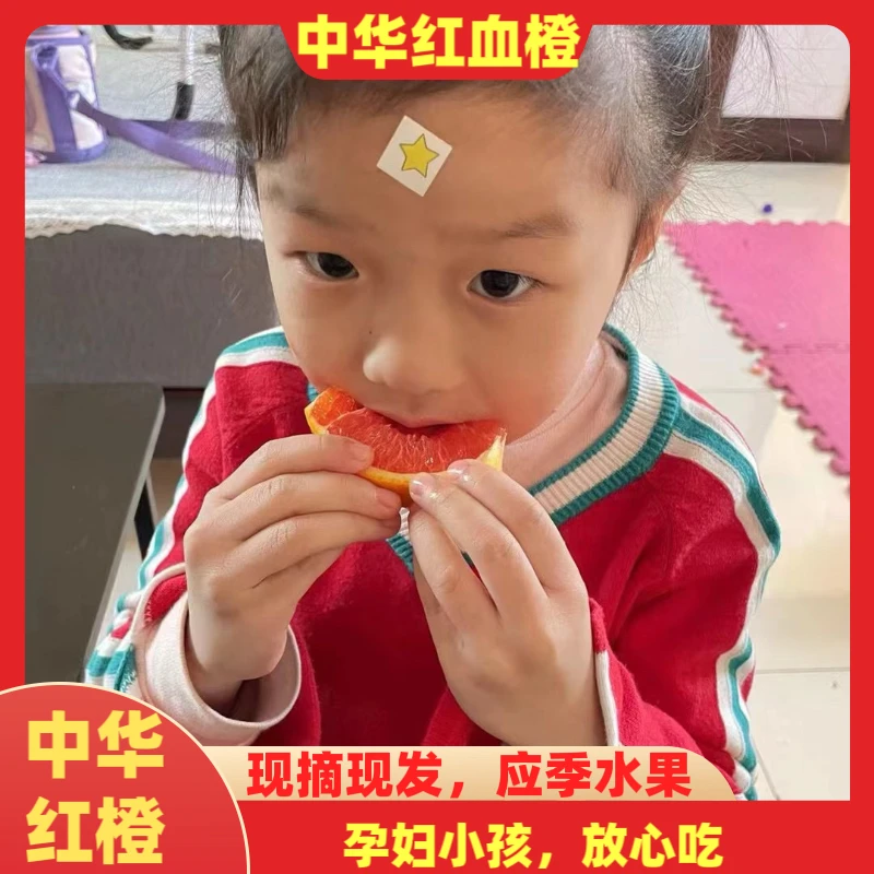 湖北秭归中华红橙血橙红肉脐橙红心橙子甜橙新鲜水果脆嫩爆汁香甜