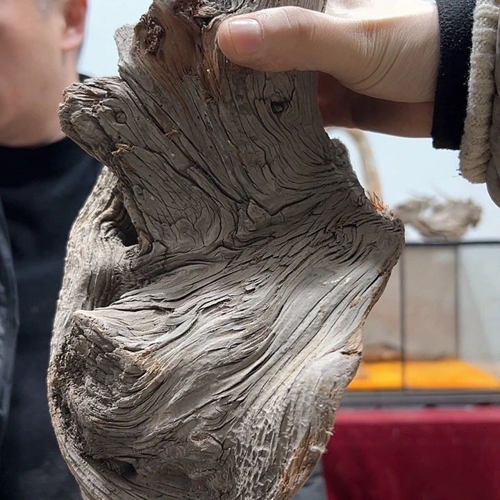 柏木黄****?我们的生活也是如此的