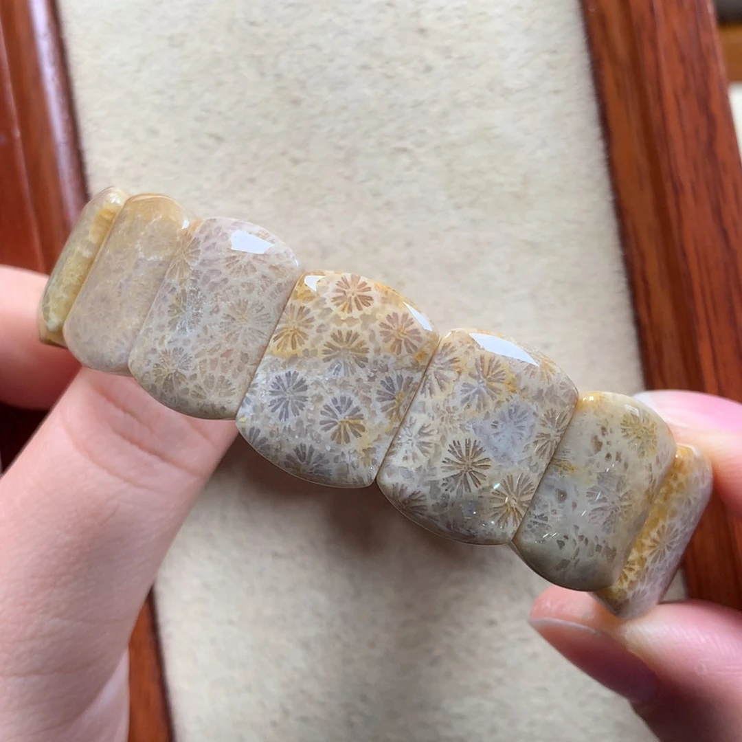 未镶嵌手排漏50/个。01硅化珊瑚（珊瑚玉）