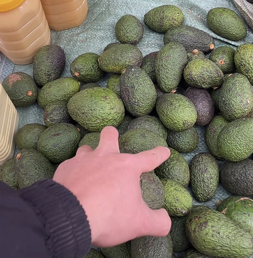 云南哈斯牛油果新鲜当季现摘水果宝宝辅食顺丰发货现货速发——9——