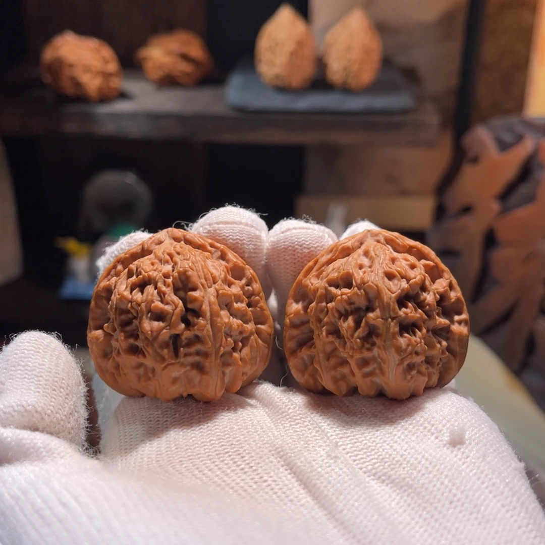 小***孟把件文玩核桃38白狮子有瑕疵