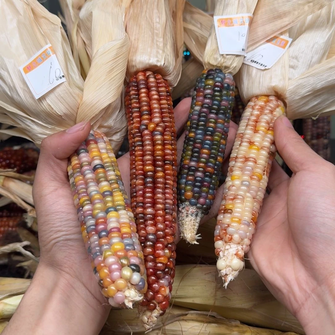 柏香籽/百香籽吊坠悠**月