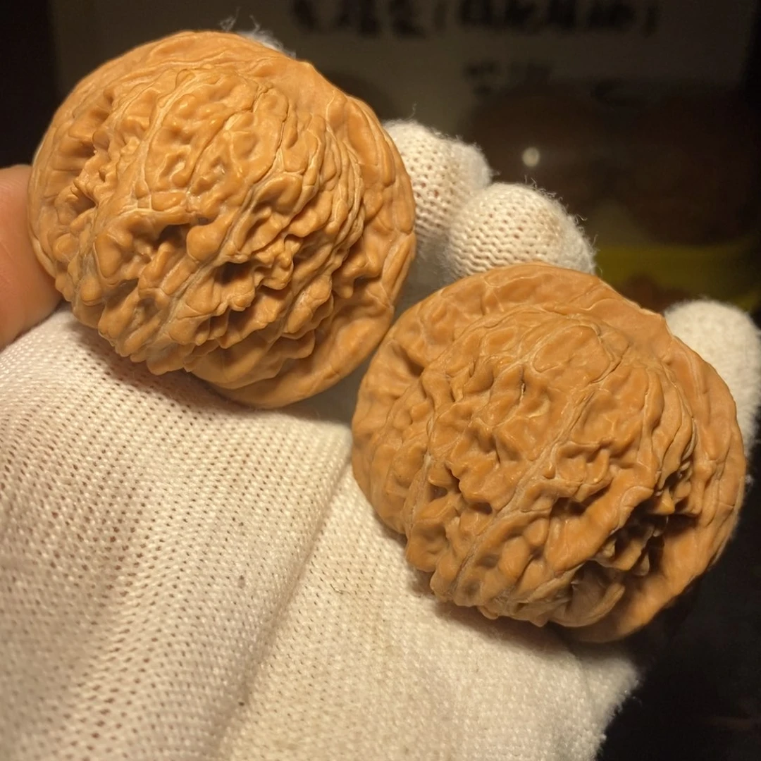 四座楼44尺新春福利