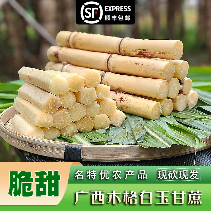 正宗广西白玉甘蔗农家自种食用皮薄多汁脆甜水果甘蔗源产地直发