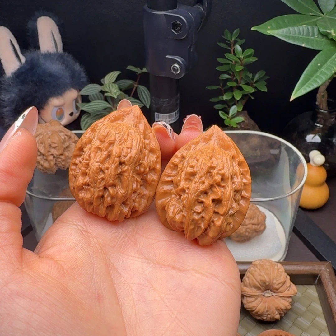 龙脊菩提把件全品赤龙鸡心（打底）37
