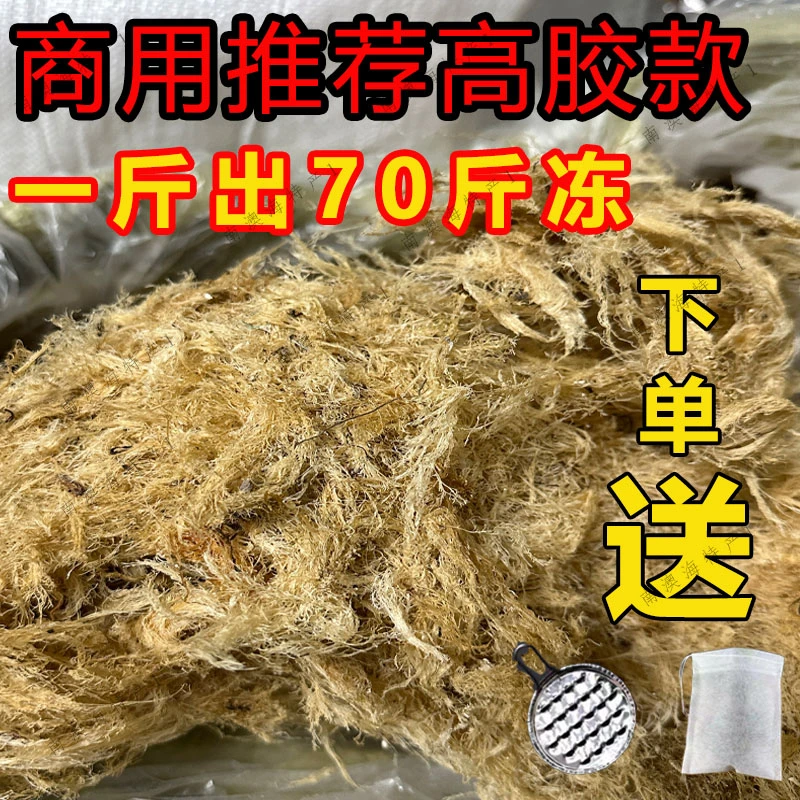 潮汕特产海石花草凉粉石花膏干净爽口四果汤摆摊岩衣胶冻凉粉批发