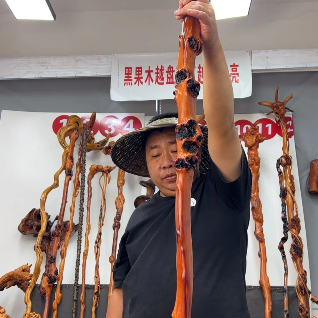 搞***区黑果木其他黑果木160