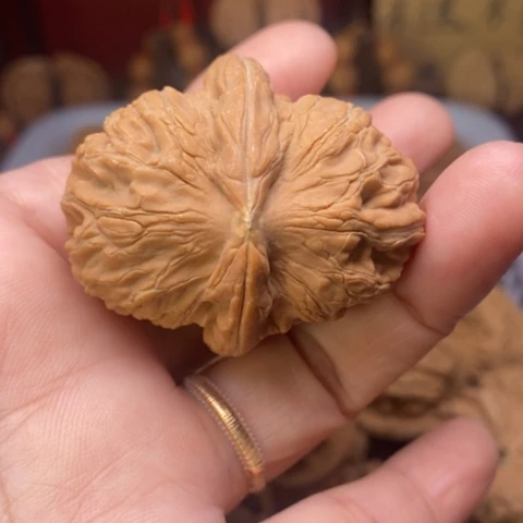 知***足文玩核桃把件核桃
