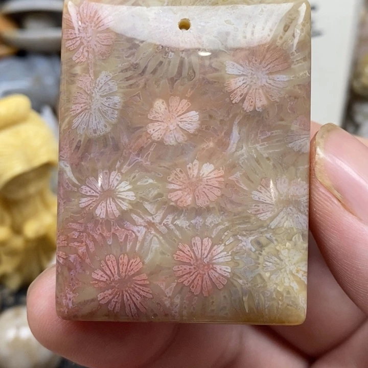 硅化珊瑚（珊瑚玉）未镶嵌颈饰