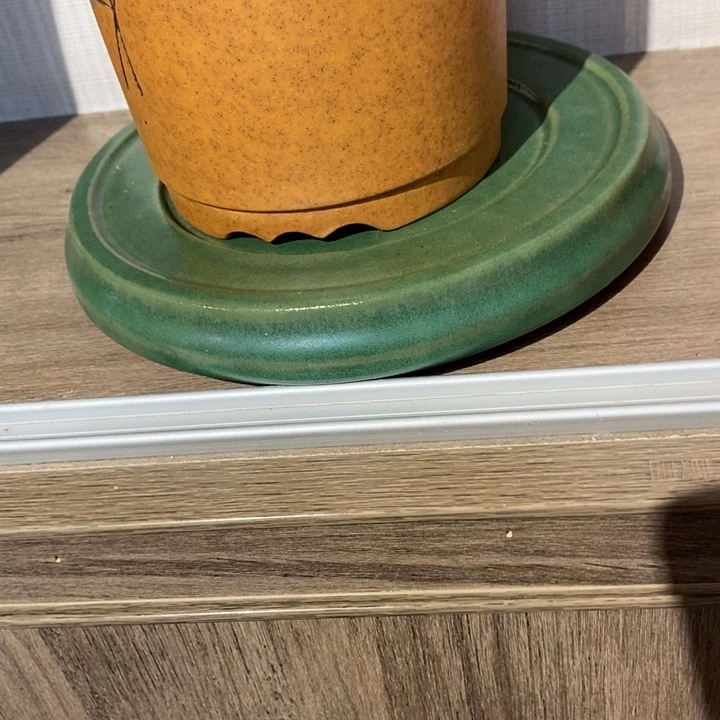 紫砂花盆波福利来啦