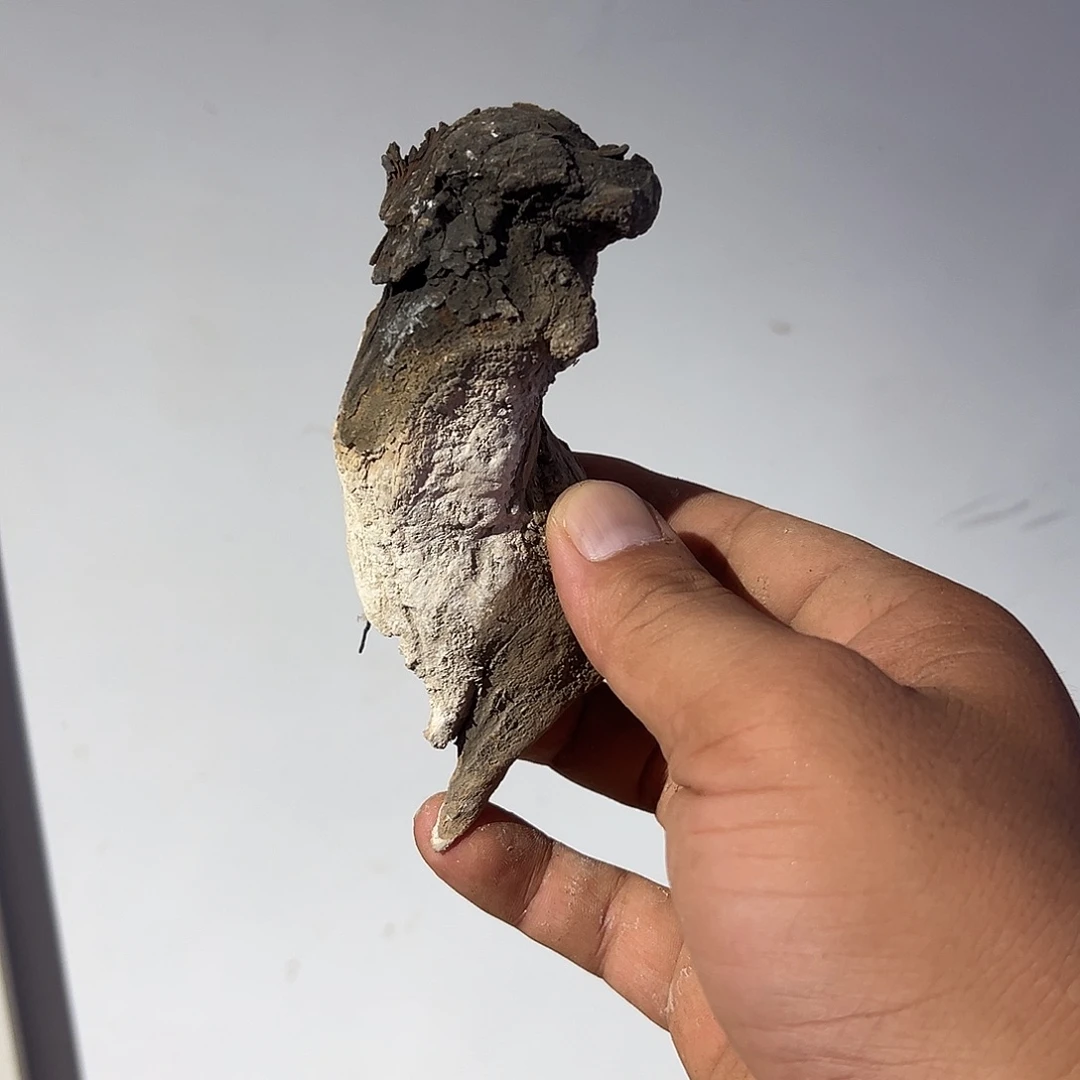 用***6柏木（崖柏）文玩根雕