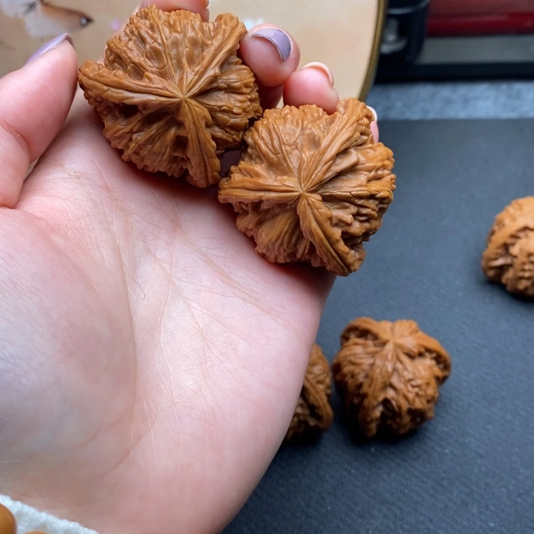 樂*白狮子1111111111