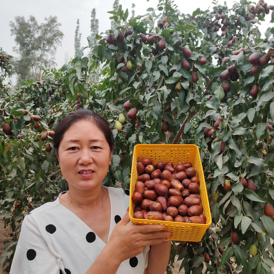 和田大枣鲜枣（适合蒸煮）5斤装产地直发包邮航空