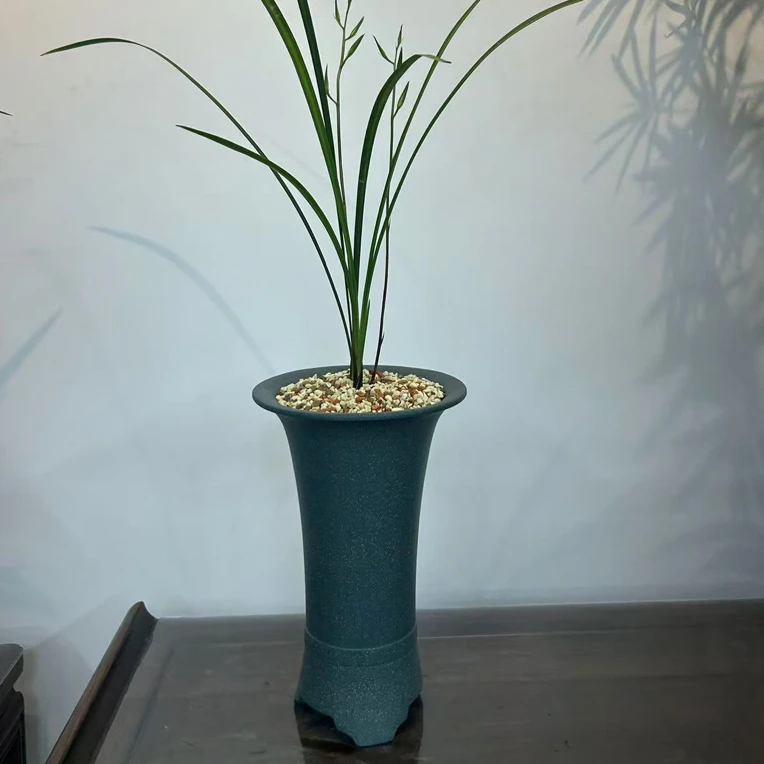 宜兴林家紫砂 寒兰 莲瓣兰 兰花盆(美人腰)