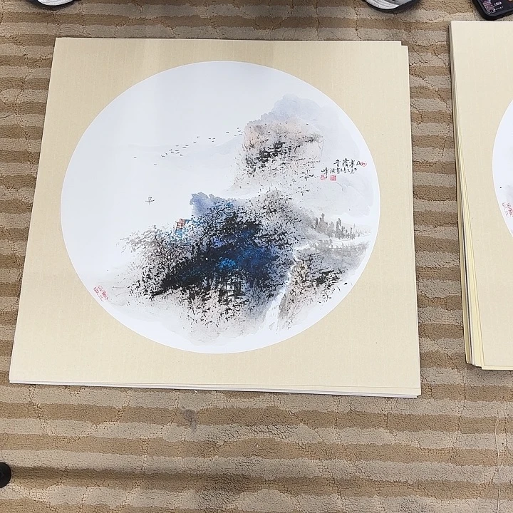 国画花鸟的翅膀和羽毛的
