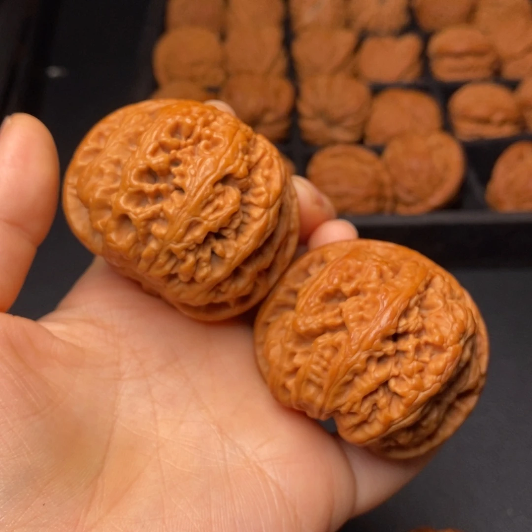 秦岭野生文玩核桃