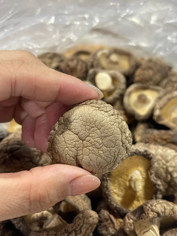 香菇干货肉厚无根无熏硫可用于炖鸡汤