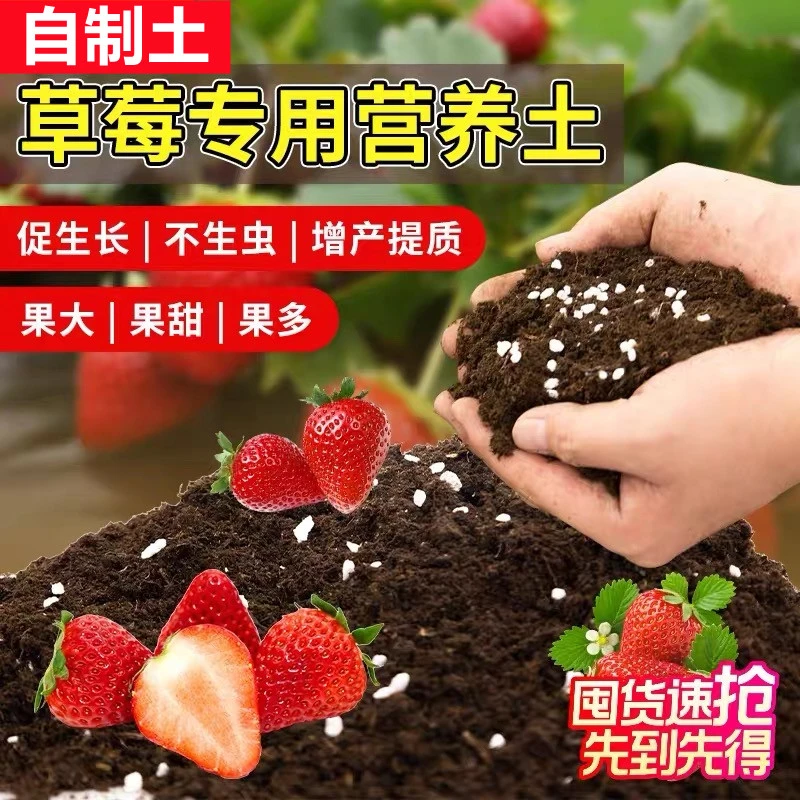 草莓专用营养土苗圃专用配方草莓专用土壤