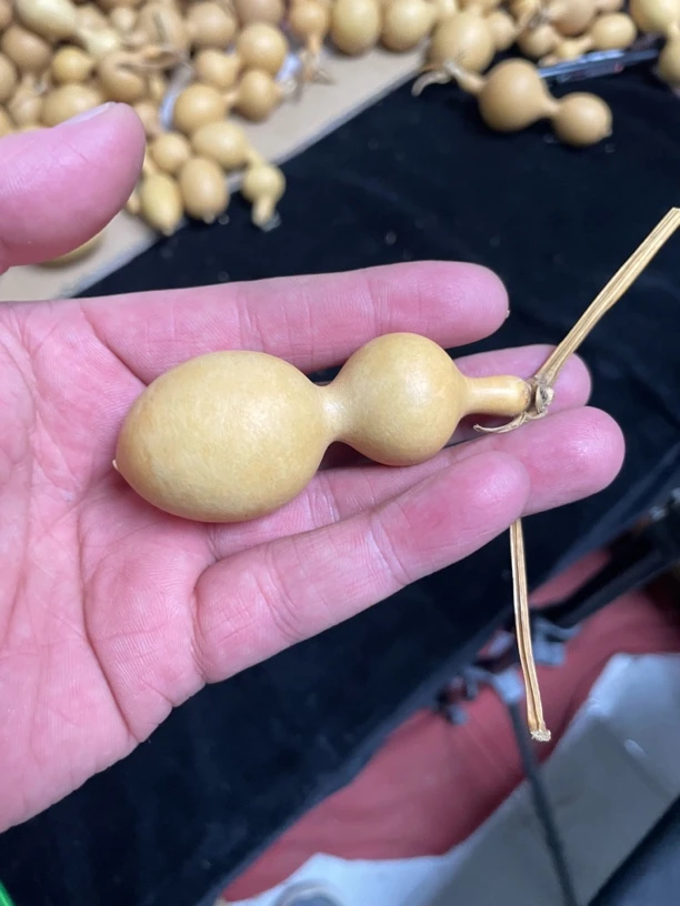 老皮蚂蚁葫芦随机发货【直播间为准】