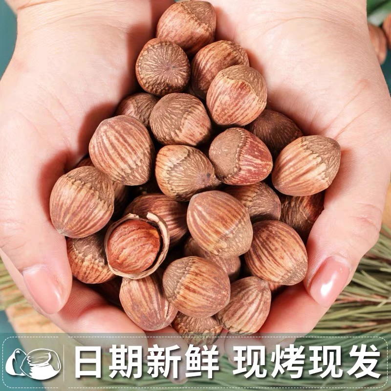 东北炒熟不开口大果榛子皮薄仁满香甜营养送钳子