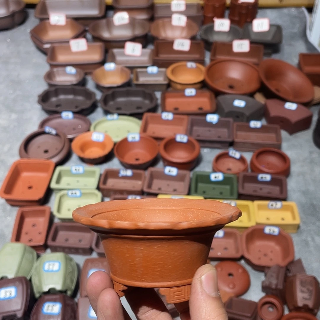 紫砂紫砂小盆6.5*3