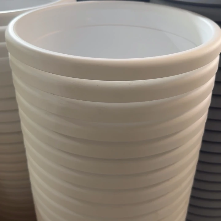 四季5号纯白6个无托