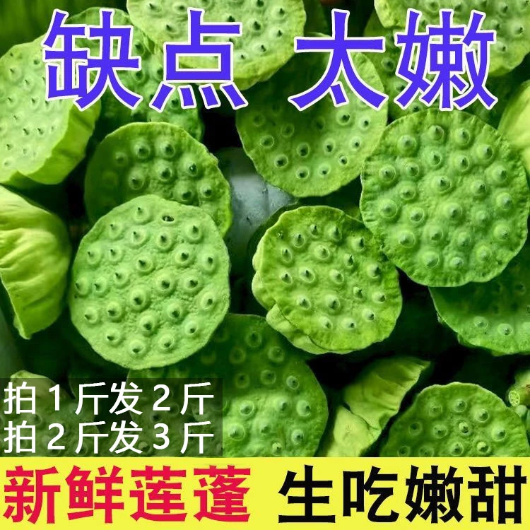 顺丰包邮新鲜莲蓬生吃莲子莲蓬子嫩莲蓬水果莲蓬运费可食净莲子米