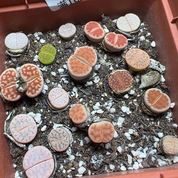 【闪购商品】 108。
