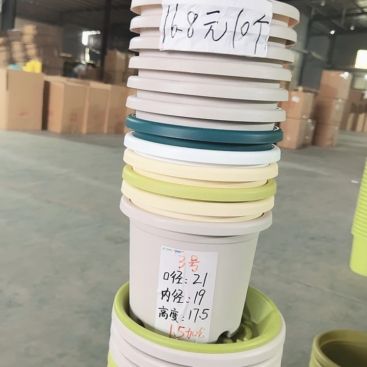 四季3#灰白10个无托