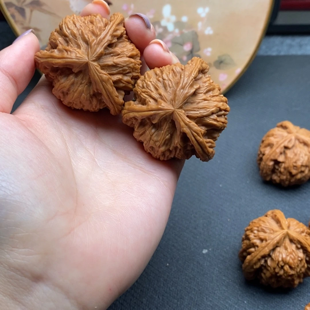 千**踪白狮子11111111111111