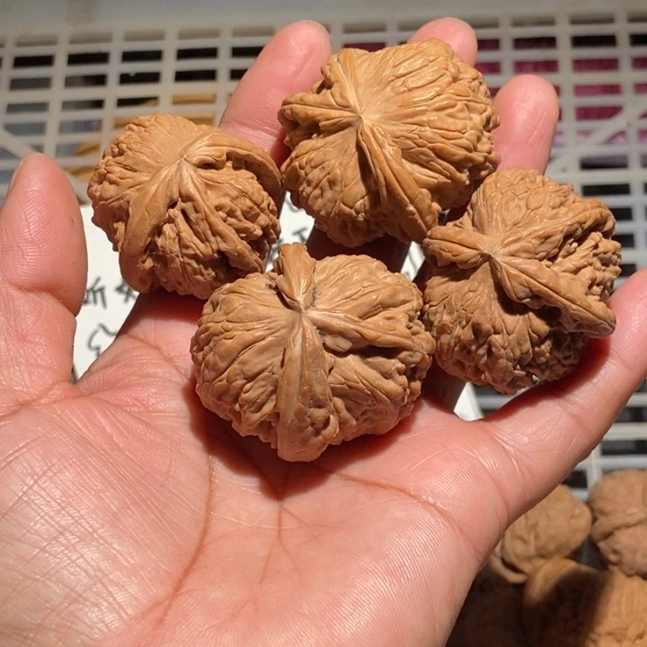 o***哥核桃白狮子三棱4个打包全品