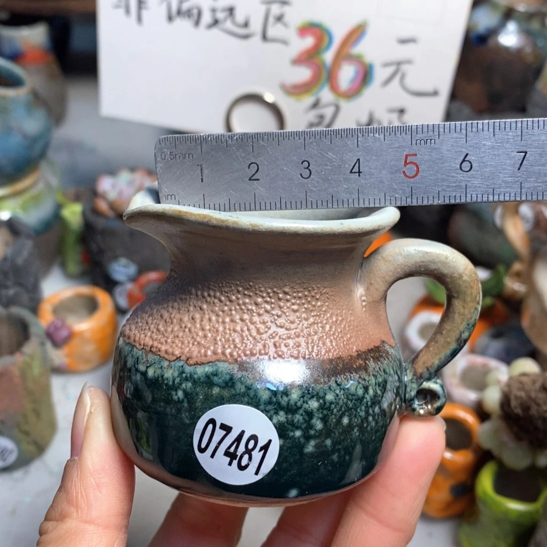 拍5送一个小礼物花盆