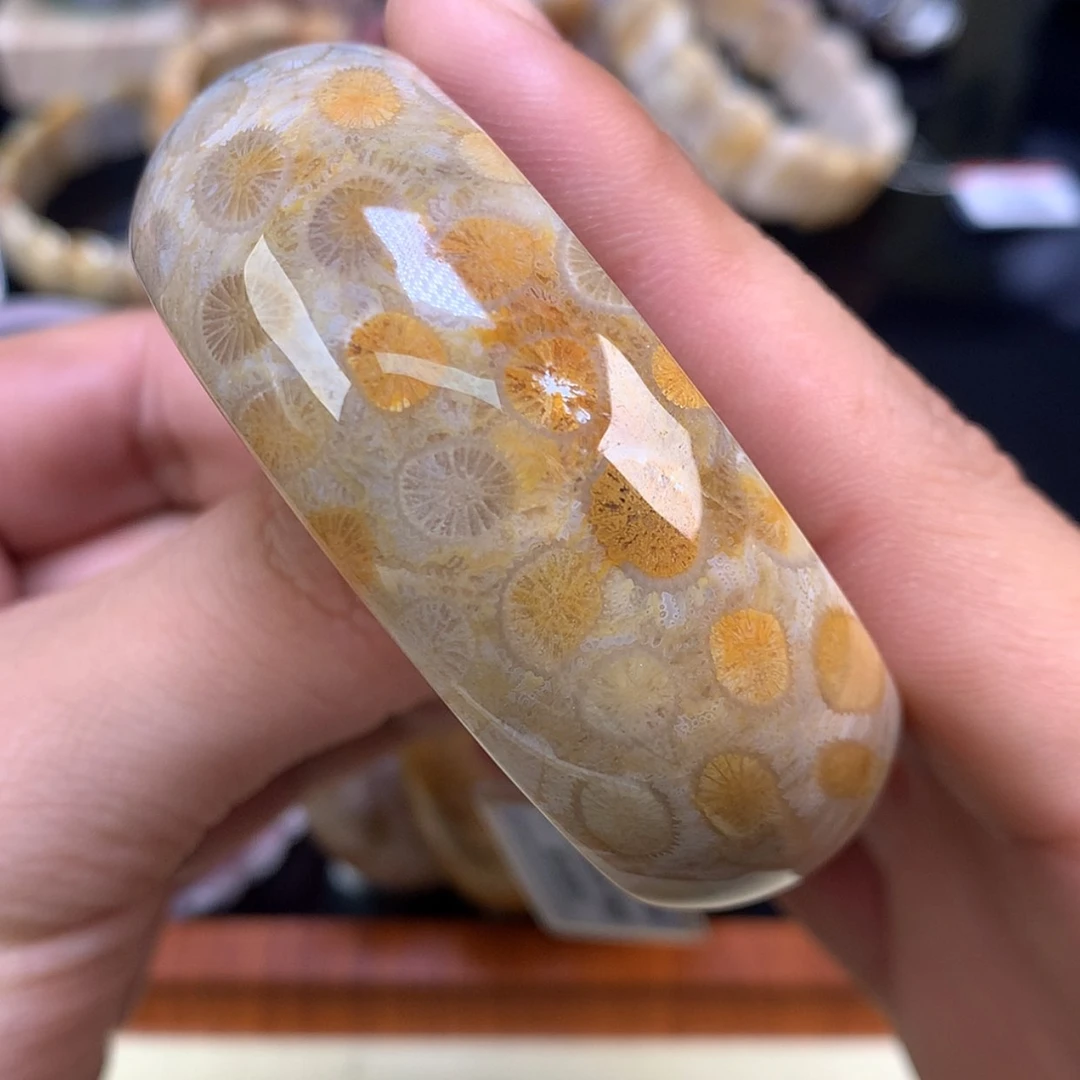 【闪购商品】颈饰未镶嵌硅化珊瑚（珊瑚玉）17号53.5圈柠檬片