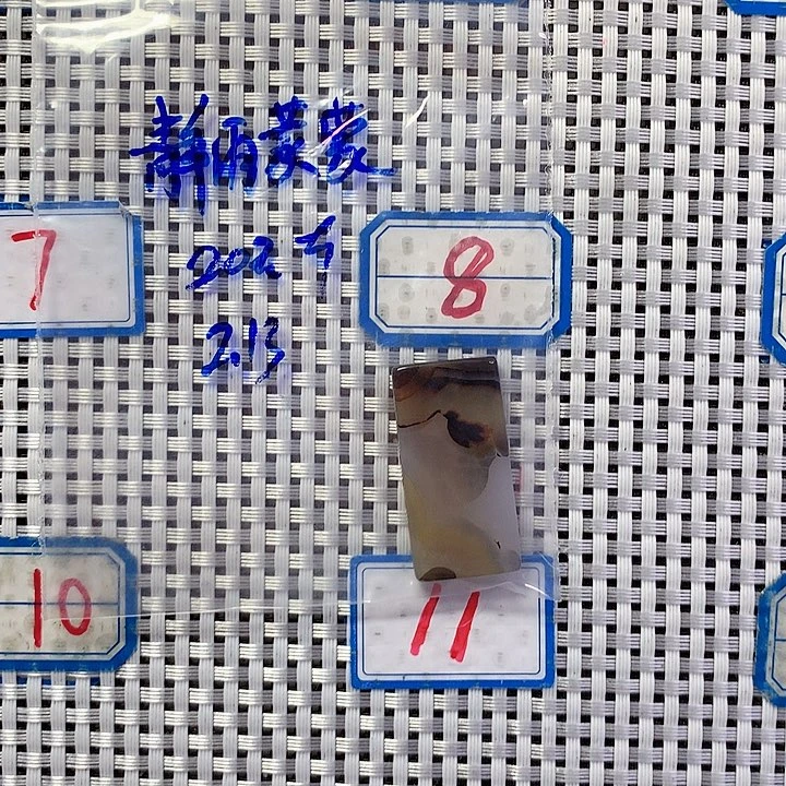 玛瑙/玉髓吊坠未镶嵌静****。