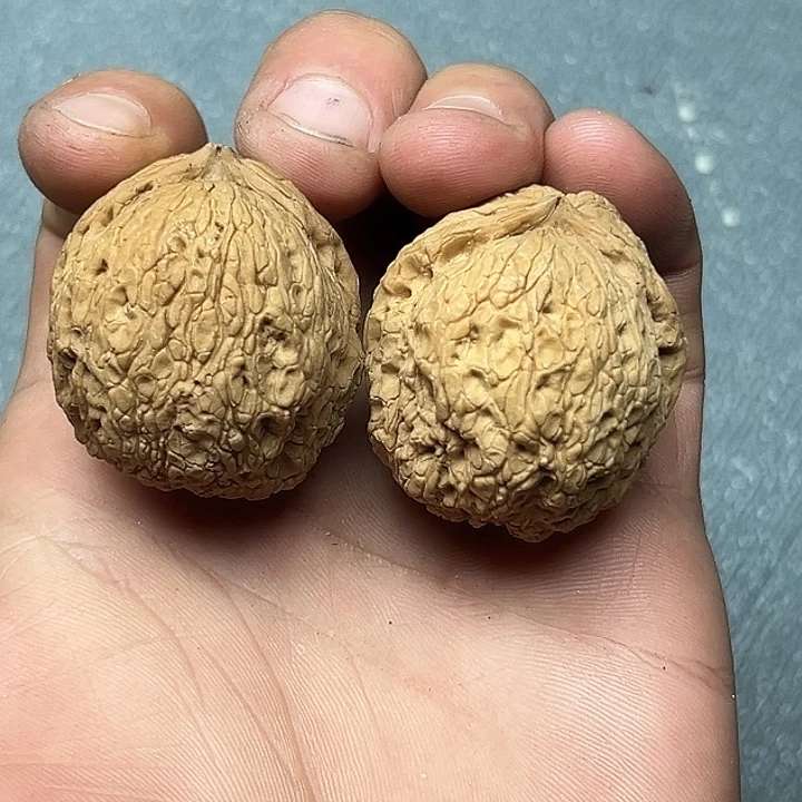 把件文玩核桃66号铁狮